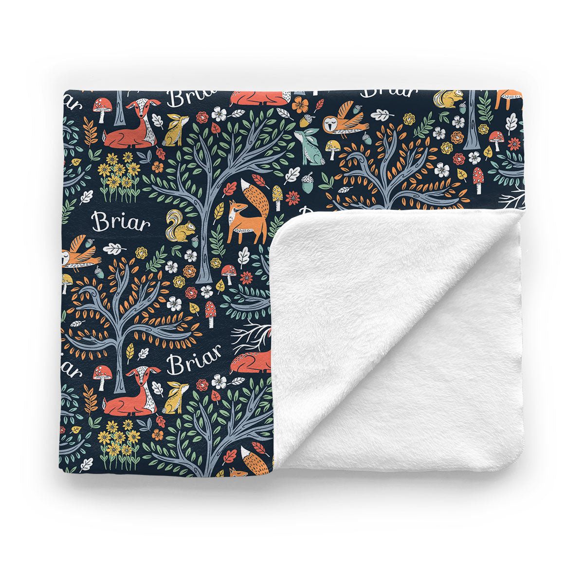 Personalized Baby Minky  Blanket | Midnight Meadow