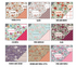 a bunch of different patterns and colors of fabric