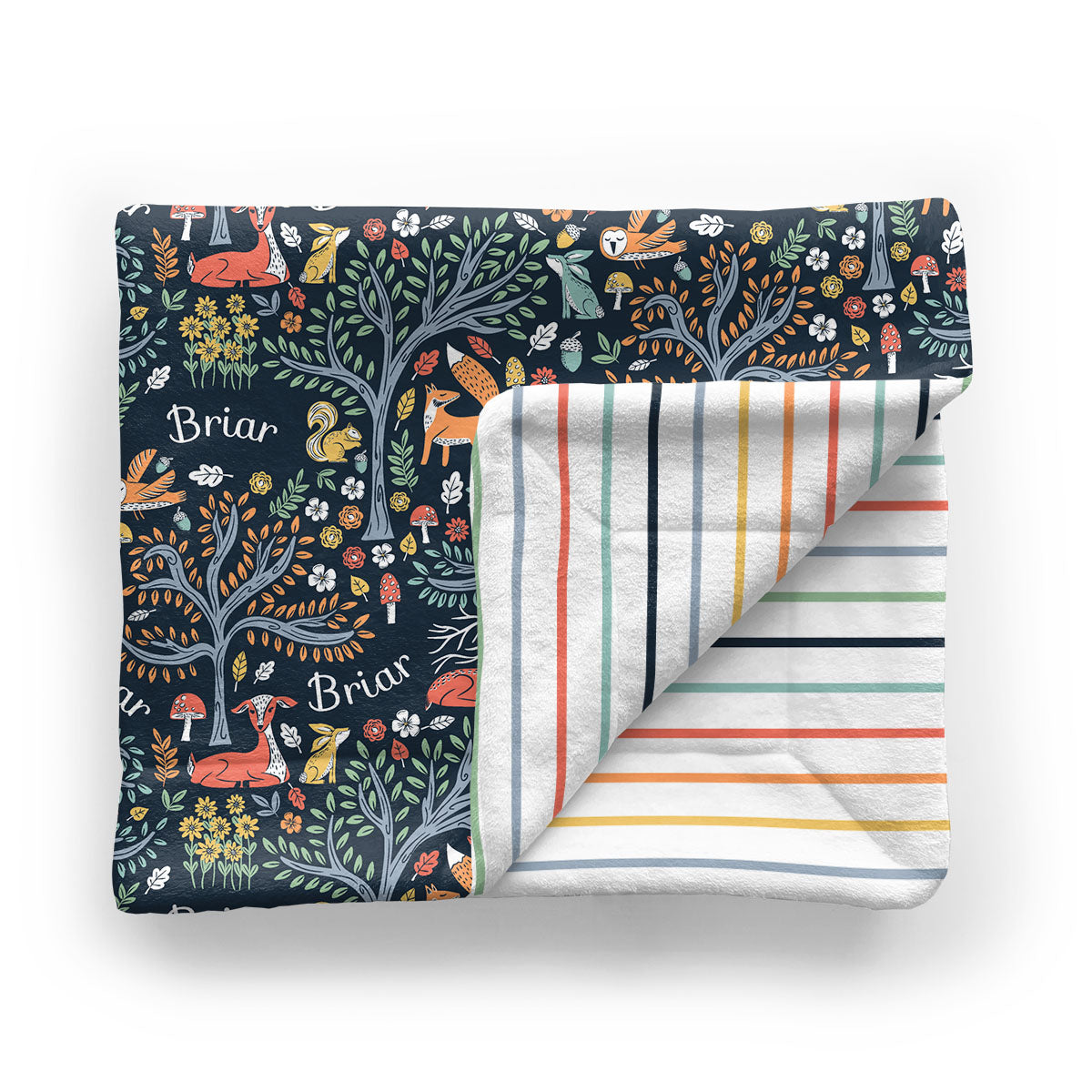 Personalized Baby Minky  Blanket | Midnight Meadow