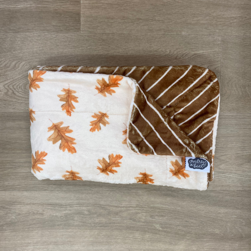 Baby Double Minky Blanket - Non Personalized