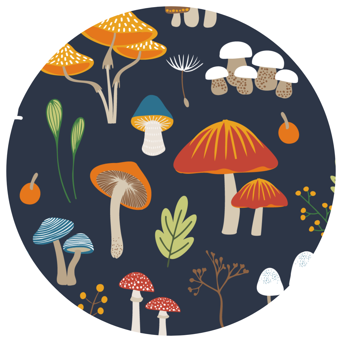 Enchanting Toadstools
