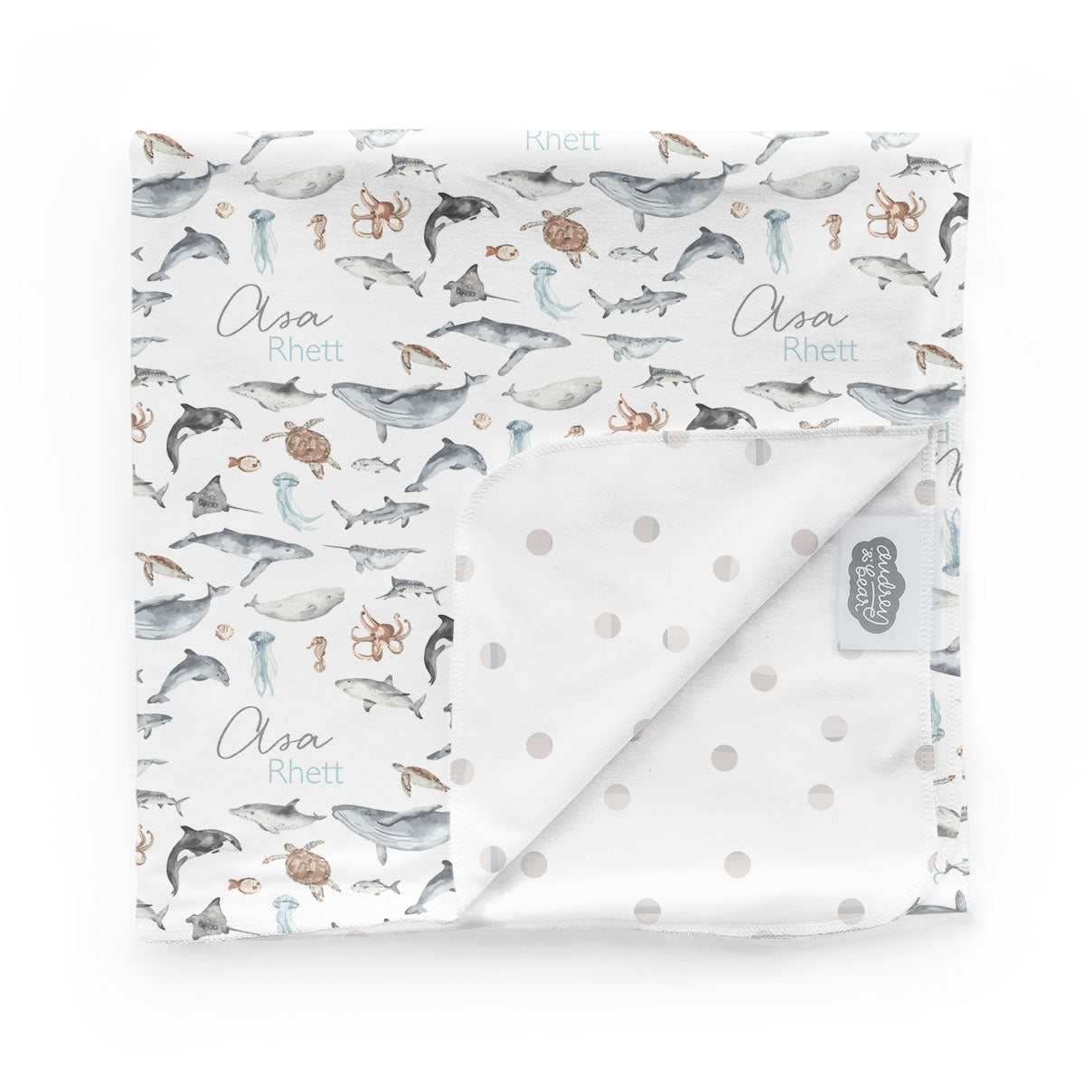 Personalized Newborn Bundle | Ocean Explorer