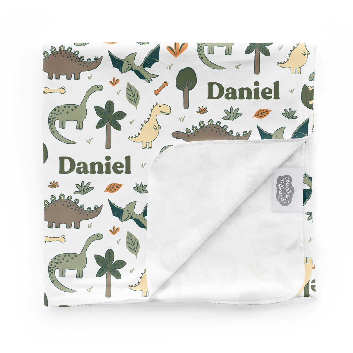 Personalized  Take Me Home Bundle | Dancing Dinos