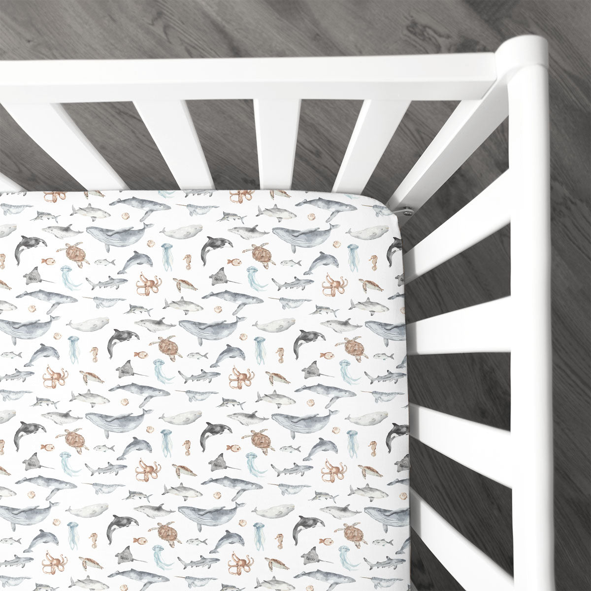 Crib Sheet | Ocean Explorer