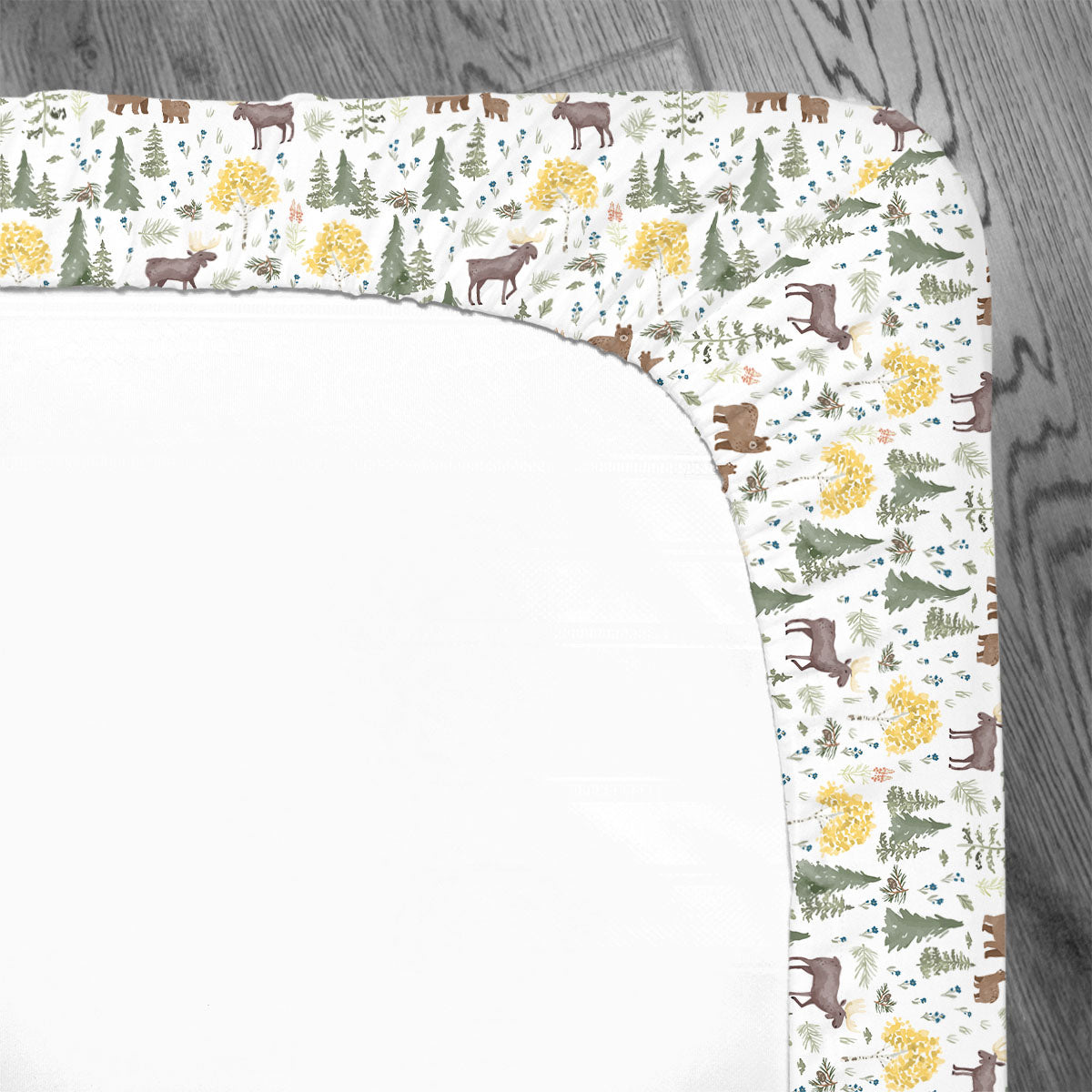 Crib Sheet | Mountain Explorer