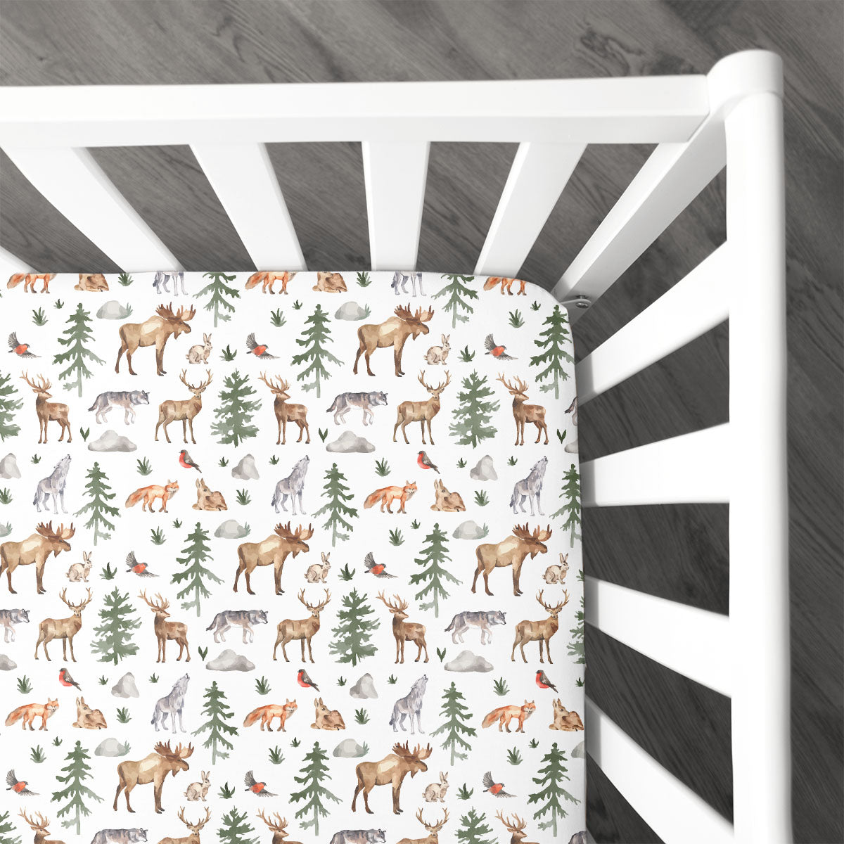 Crib Sheet | Into the Wild